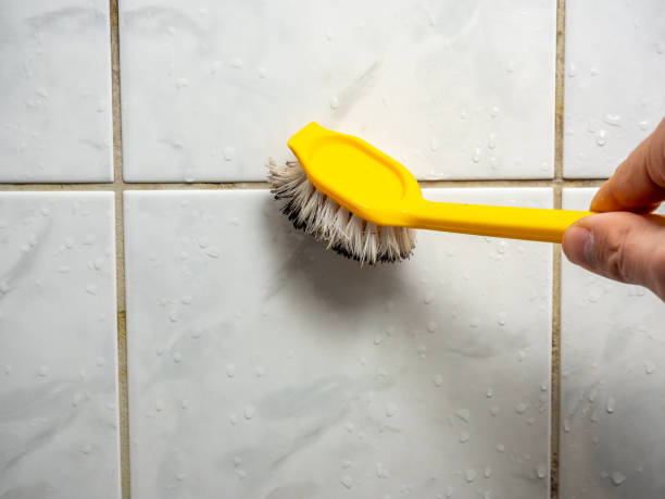 Best Black Mold Removal  in Harlem, GA