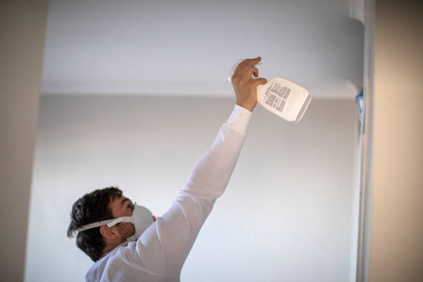  Harlem, GA Mold Removal Pros