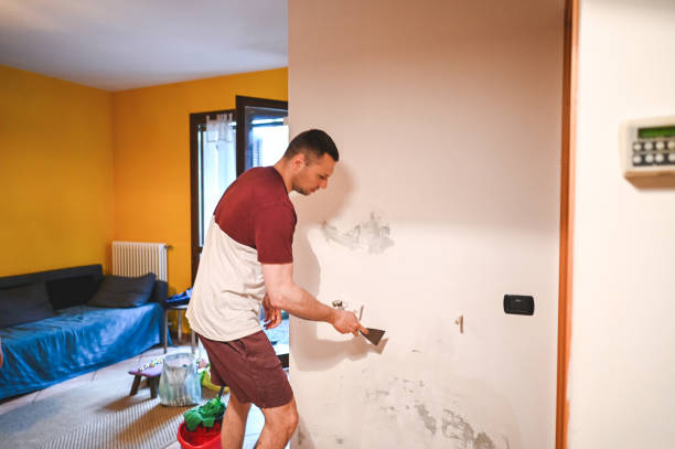 Best Emergency Mold Removal  in Harlem, GA